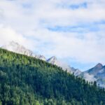 Why Disaster Aid Should Buy From Local Businesses