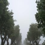Field Trips Need Accessibility Information Before Permission Slips